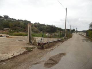 Zona