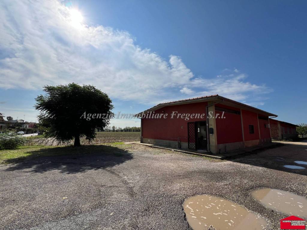 Magazzino - deposito viale dei tre denari, maccarese, fiumicino