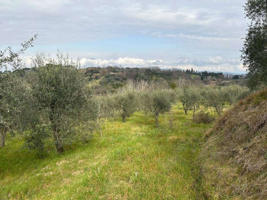 Terreno agricolo via montepaldi, molin nuovo - monterappoli, empoli