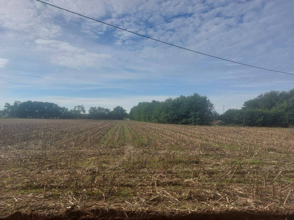 Terreno agricolo cascina cassinetta, concorezzo