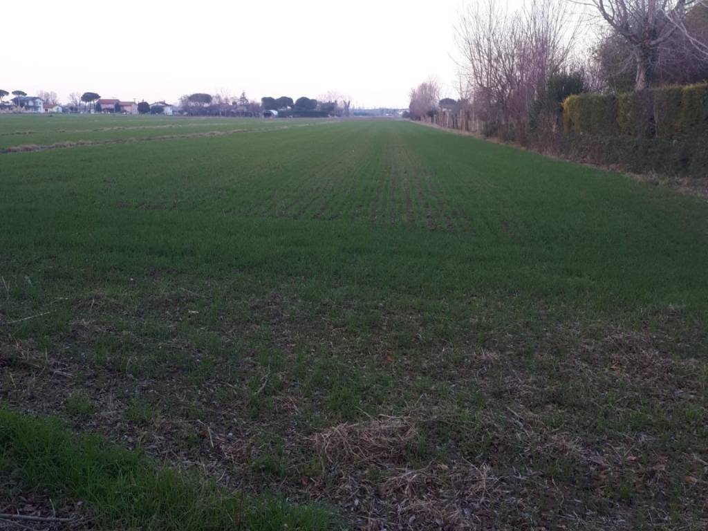 Terreno agricolo via montaletto 104, cannucceto, cesenatico