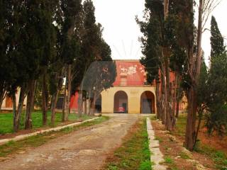 Zona