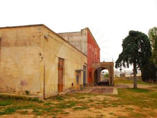 Zona