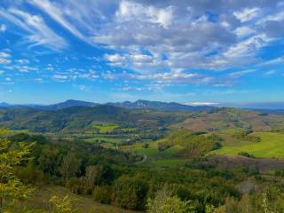Vista