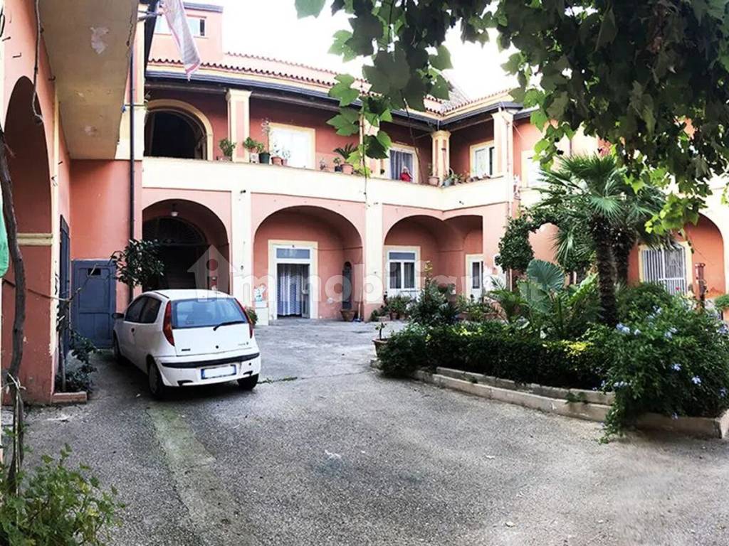 Zona