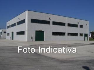 Zona