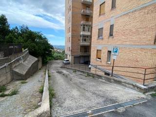 Zona
