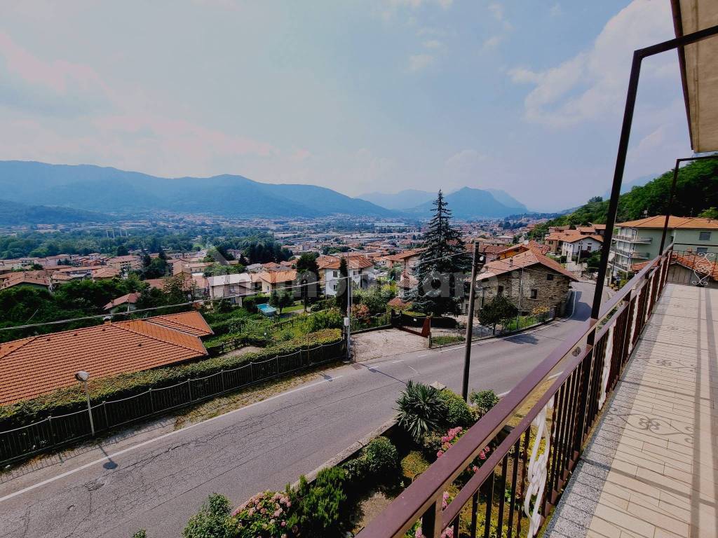Vista