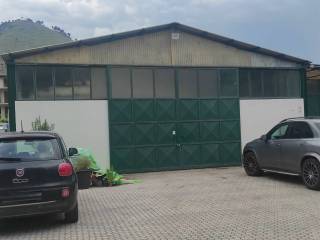 Zona