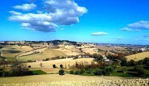 Terreno agricolo, montegranaro