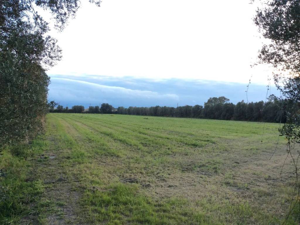 Terreno non edificabile località risi san c., lamezia terme