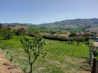 Vista