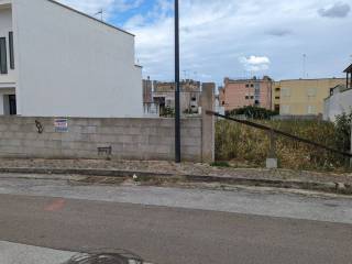 Zona