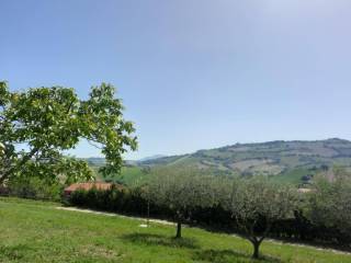 Vista