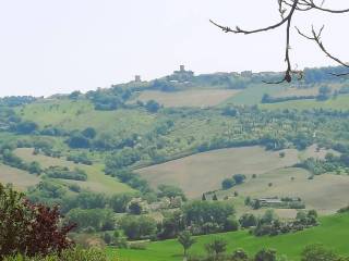 Vista