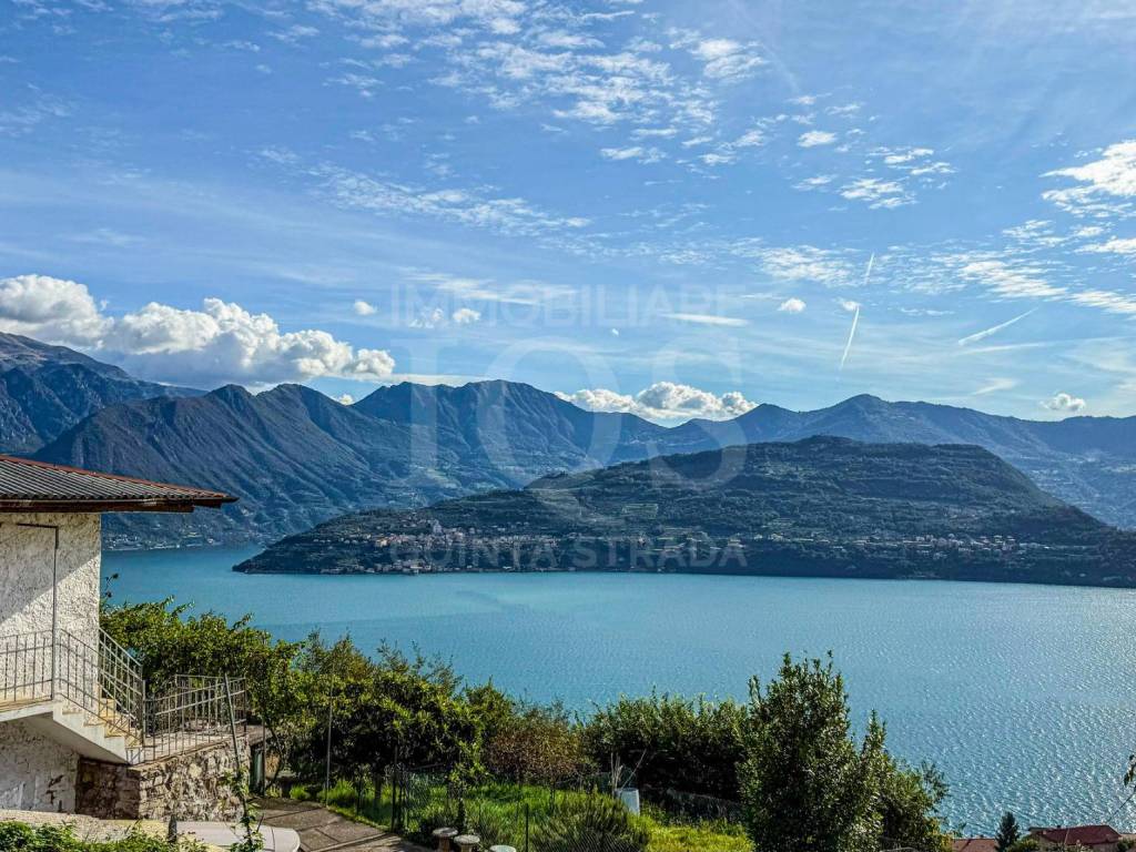 Vista