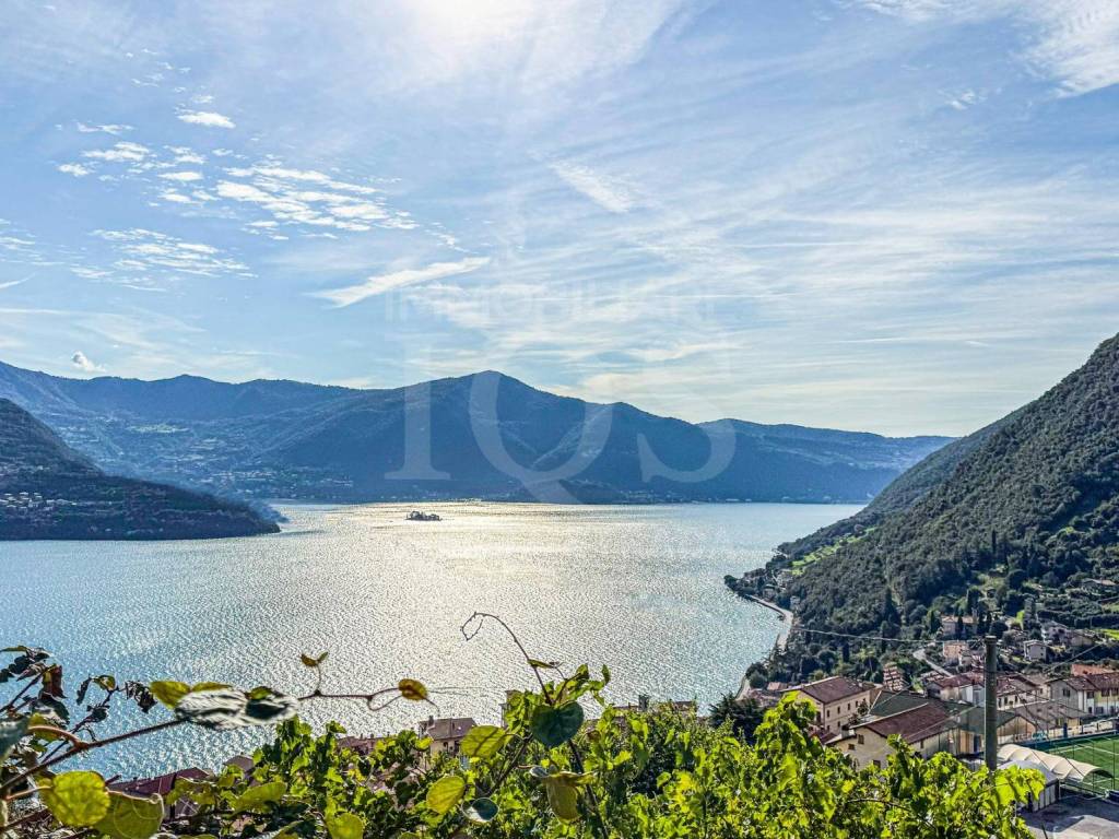 Vista