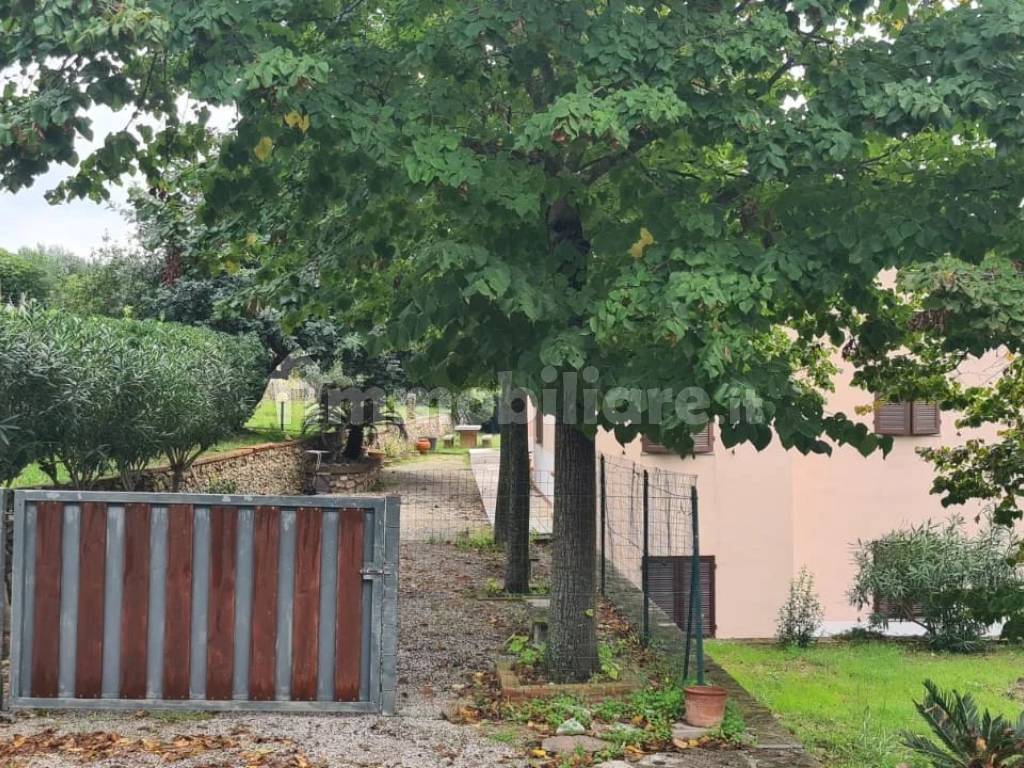Giardino
