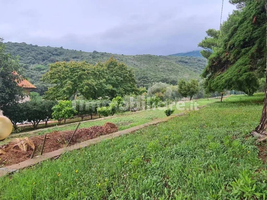 Terreno