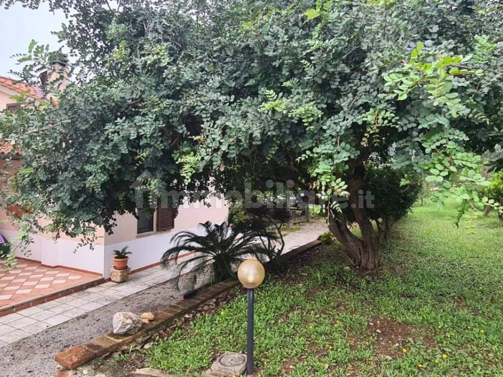 Giardino