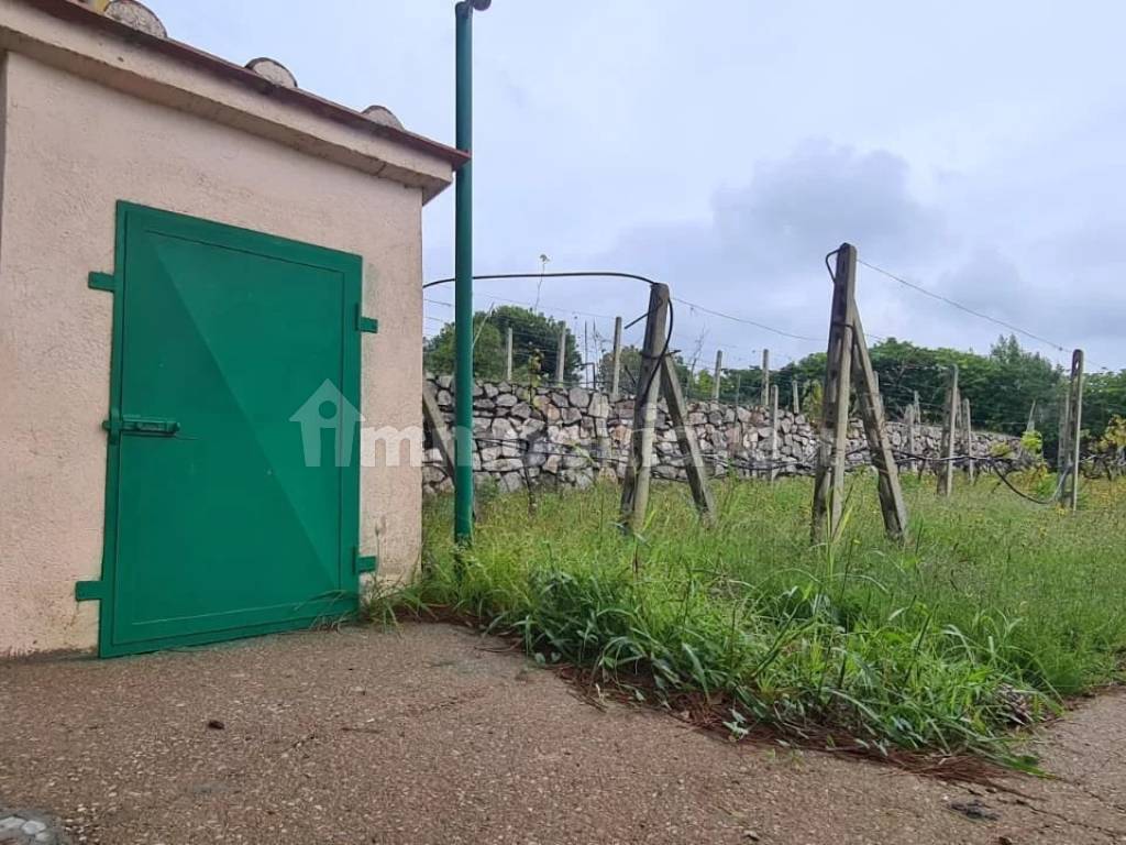 Terreno