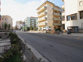 Zona