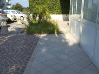 Zona