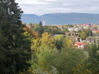 Vista