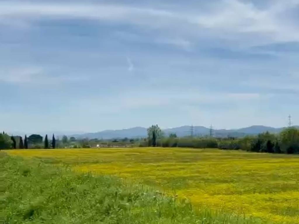 Terreno agricolo via della macchiola, castelnuovo, prato