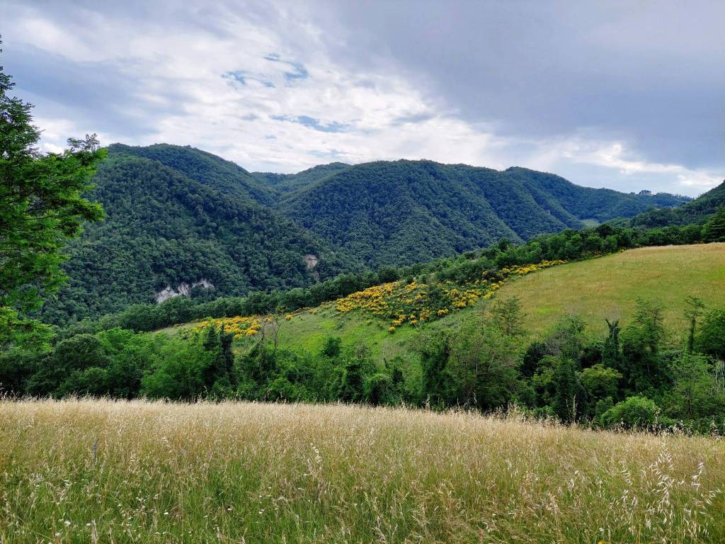 Terreno edificabile via tizzano, zona agricola, casalecchio di reno