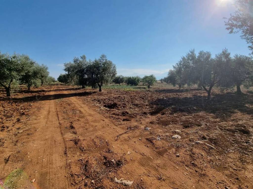 Terreno non edificabile, centro, massafra