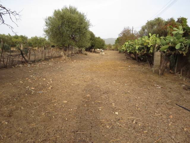 Terreno agricolo, capitana, quartu sant'elena