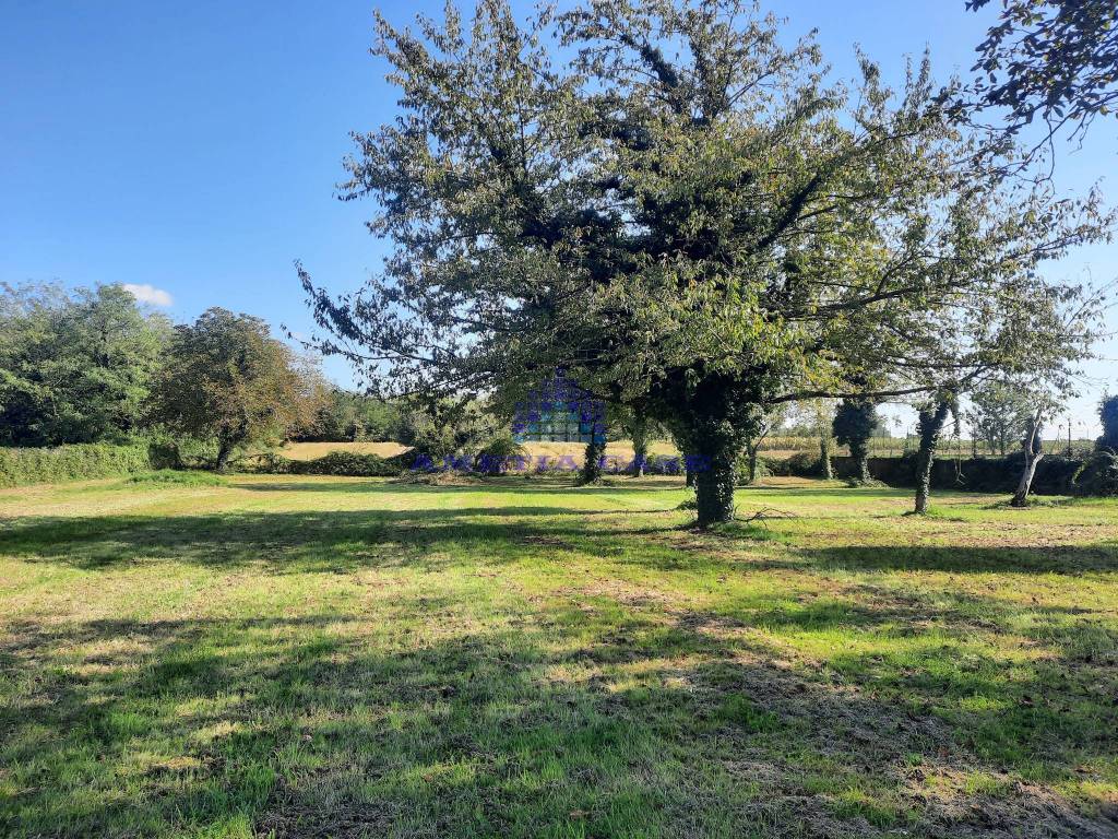 Terreno agricolo via fornace, carnate