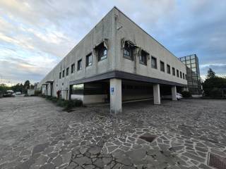 Zona