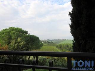 Vista