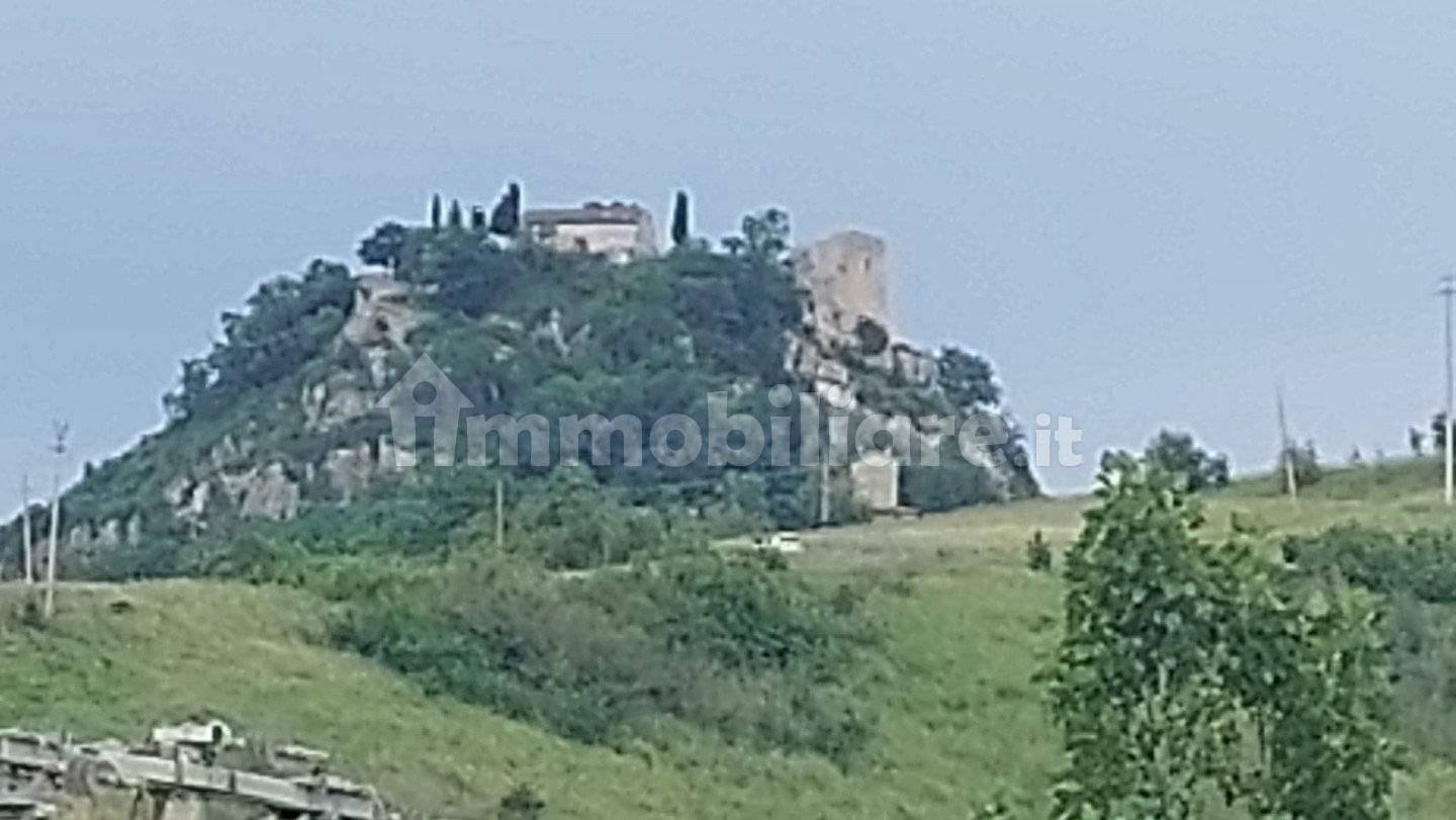 Palazzo - Edificio in vendita a Canossa