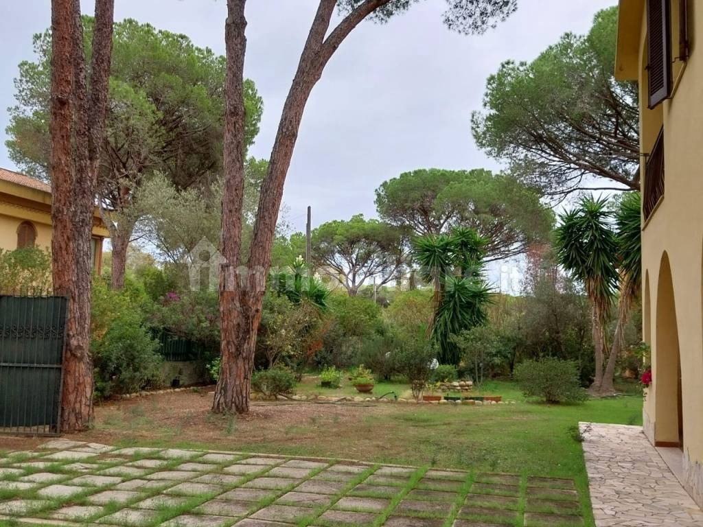 Giardino
