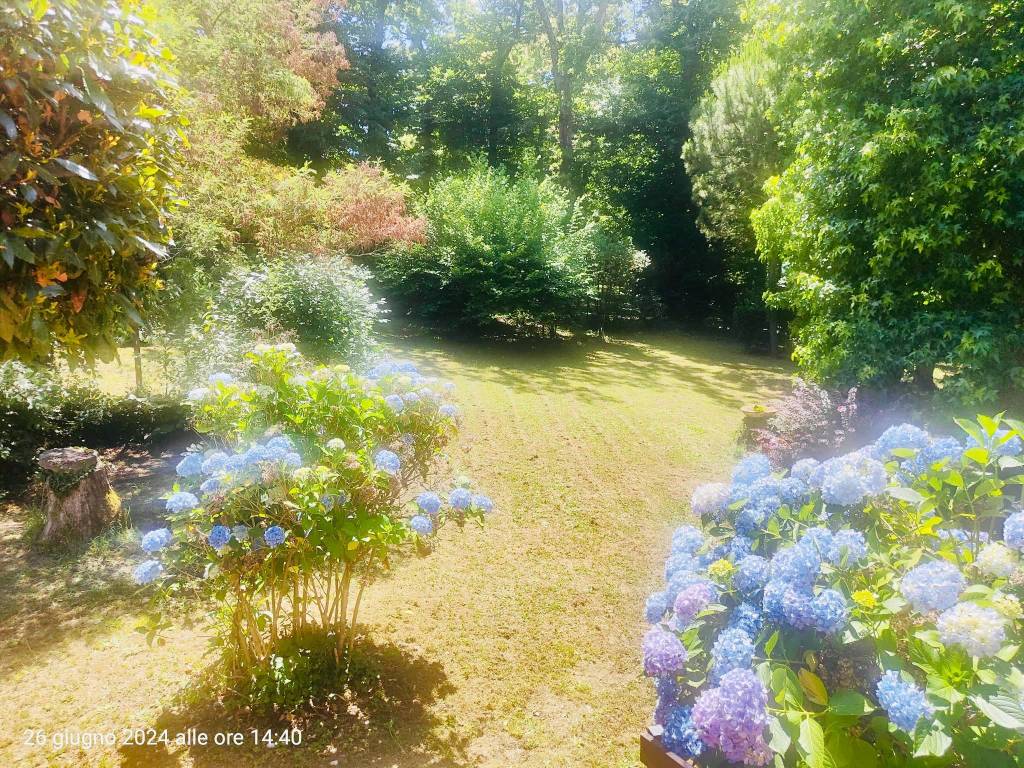 Giardino