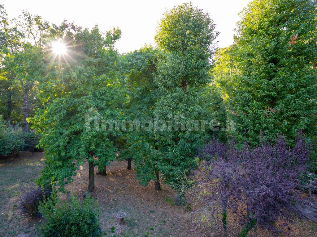 Giardino
