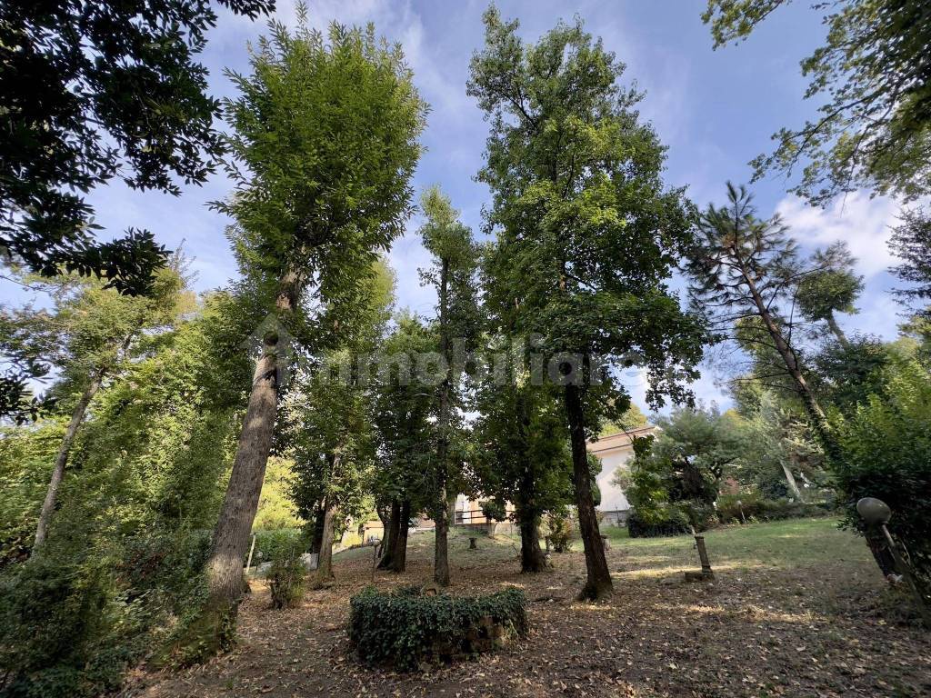 Terreno