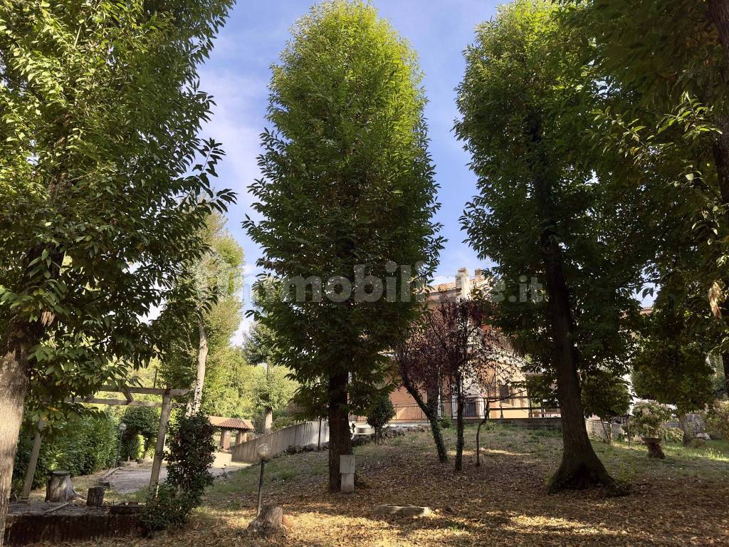 Giardino