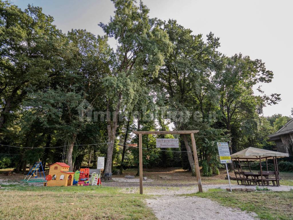 Giardino