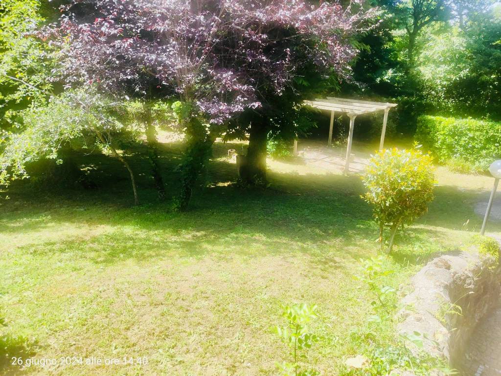 Giardino