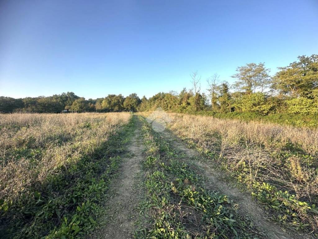 Terreno agricolo vocabolo san egidio, centro, montecastrilli