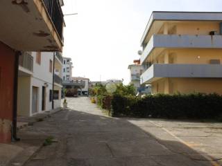 Zona