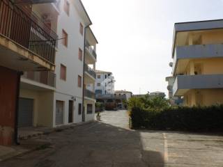 Zona