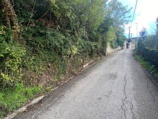 Zona
