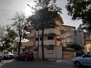 Zona