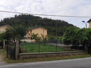 Zona