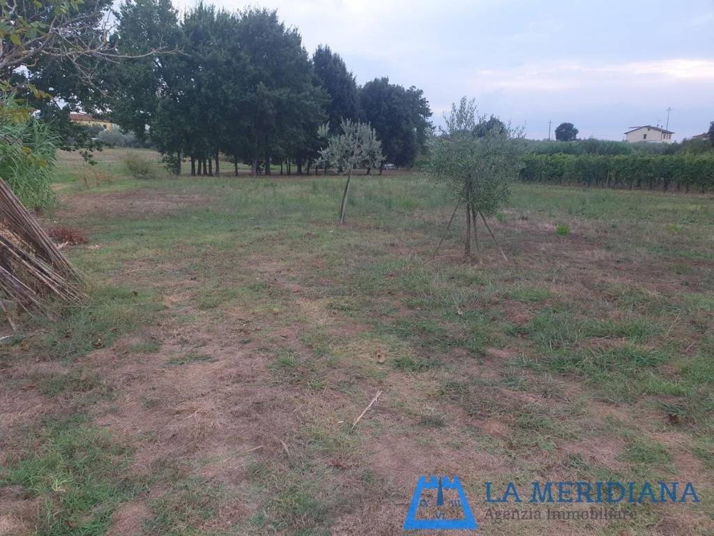 Terreno agricolo, san rocco, larciano